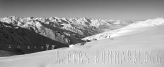 Heddas Abstinensblogg