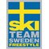 Freestylebloggen