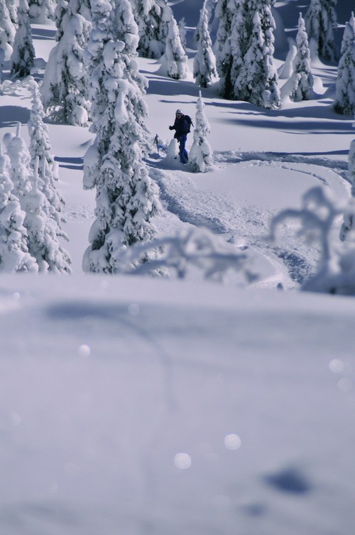 Asbjörn i botten av powderhill.