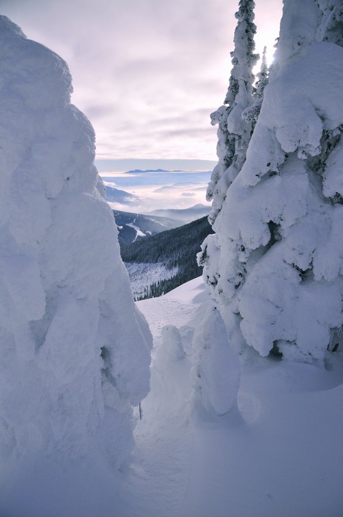 Morgonutsikt i Kootenays