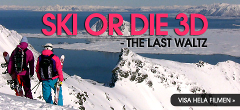Ski Or Die 3D - The Last Waltz