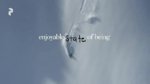 Enjoyable State Of Being