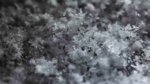 Trailer: All I Can