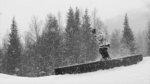 Parktouren: �re
