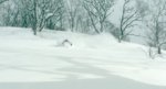 Niseko från sin bästa sida