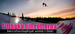 Tillbaka till rötterna