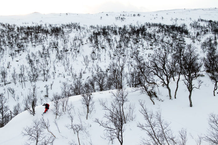 Alexandra Hafmar hittar gles skogsåkning i ”parken” Storulvån.  