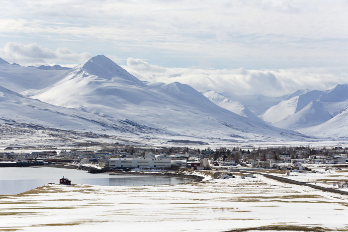 Dalvik på norra Island är ett fiskesamhälle med en gryende skidkultur där turer och heliski står i fokus.