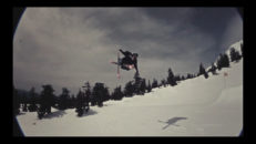 The Bunch – HoodcruiseQ