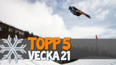 Topp 5: Vecka 21