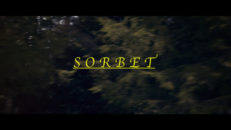 TFJ – Sorbet