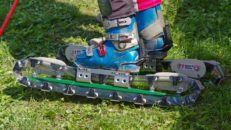 Candide hakar på gräsåkningstrenden