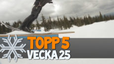 Topp 5: Vecka 25