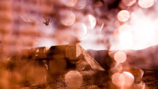 Höjdpunkterna från Nine Knights MTB