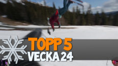 Topp 5: Vecka 24