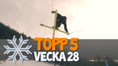 Topp 5: Vecka 28