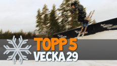 Topp 5: Vecka 29