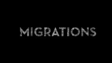 Trailer: Stellar Media – Migrations