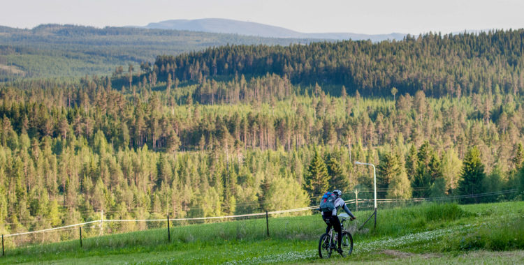 Här försvinner Mattias Skantz bort från knotten och intervjun. Nästa stopp Undersåker.