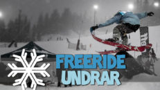 Undersökning: Hur mycket fick du åka?