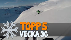 Topp 5: Vecka 36