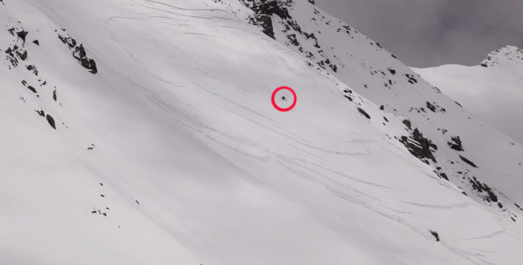 I trailern för Dream Line kan du bland annat se denna best till lavin