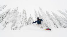 Trysil glesar ut skogen vid Høgegga