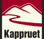 Kappruet årets serviceföretag i Härjedalen