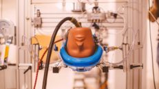 Nya delägare i MIPS