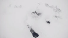 Fluffigt värre i Niseko