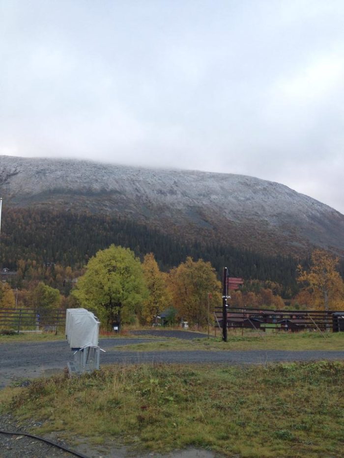 Lite florsocker på toppen av Drommen i Bydalen imorse.