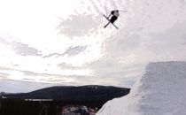 Neli Pictures – Stray Part 2