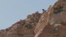 Vad du inte trodde man kunde göra med en cykel