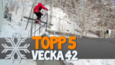Topp 5: Vecka 42