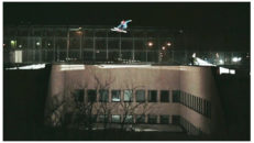 Trailer: Nipwitz – Brain Massage