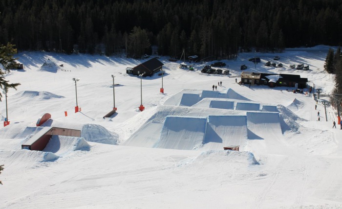 RIngkollen som den såg ut 2013.
