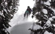 Kolla in: Tatum Monod 13/14