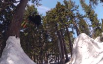 Line Traveling Circus 7.2 – Mayisode