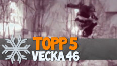 Topp 5: Vecka 46