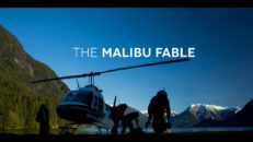 Kolla in: Dave Treadway – The Malibu Fable