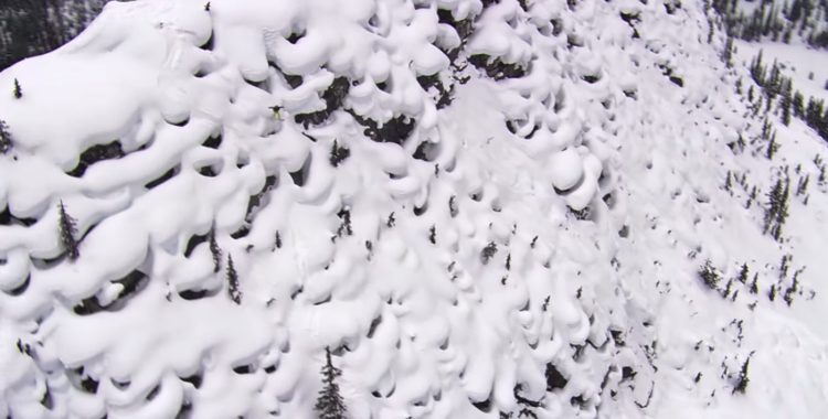 Kuddlinje med stor K i The North Face nya rulle