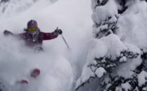 Days of My Youth – Michelle Parker