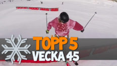 Topp 5: Vecka 45