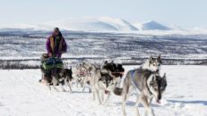 Nicklas Blom: Heading North – 125 mil med hundspann