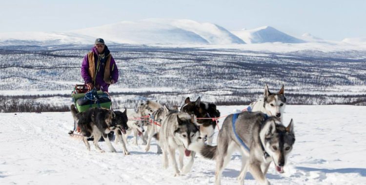 Nicklas Blom under den långa resan från Åre till Treriksröset 