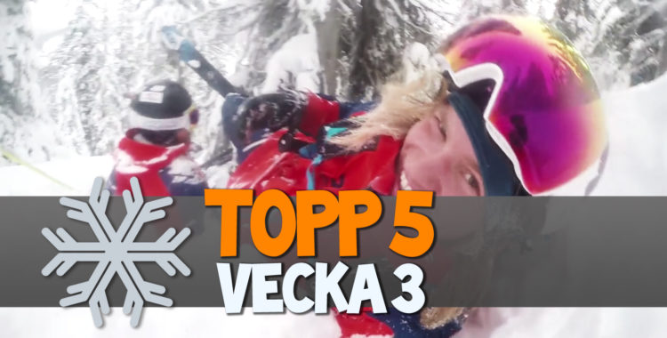 Julius och Björn är tillbaka i snön.