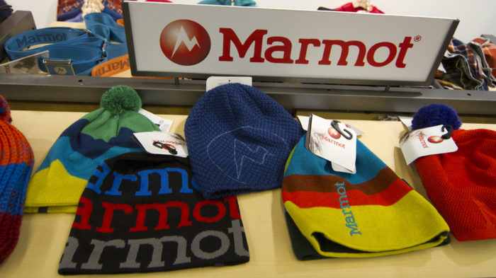 Marmot