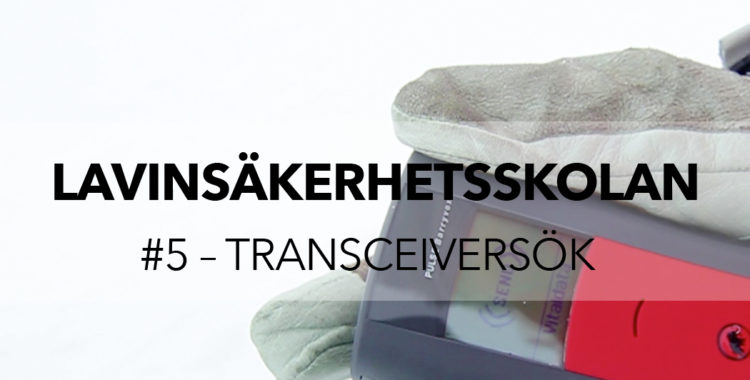 Lär dig hur du söker efter lavinoffer på bästa sätt