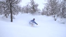 Grattis Norge! Japanpuder i Sogndal