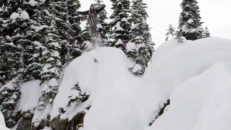 Kuddkrig med Tanner Hall